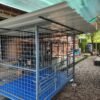 Dog cage for sale